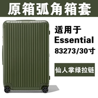 [Essential30 дюйм 83273] Fairy Palm Green ★ Оригинальная коробка угловая дуга Super Piccination