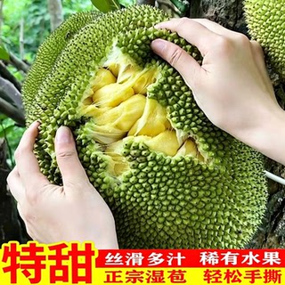 正宗徐闻湿包菠萝蜜当季自然熟手撕湿苞新鲜水果非榴莲蜜整个包邮