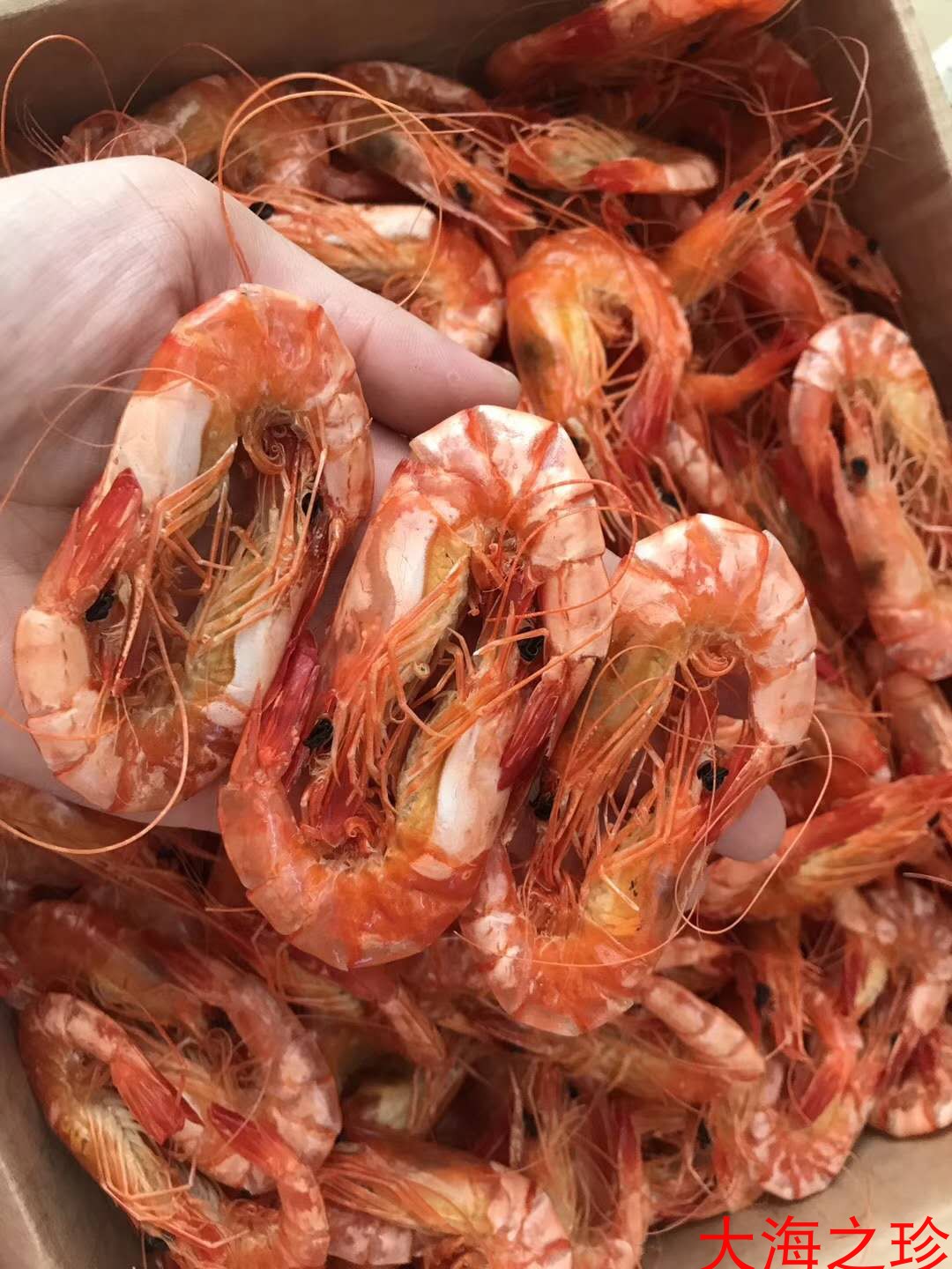 野生海鲜即食对虾干包邮