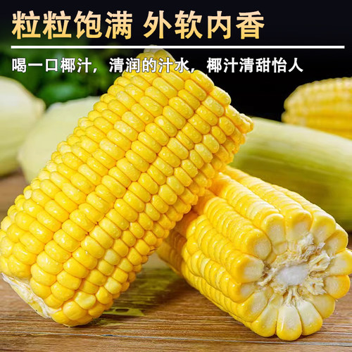牧疆山云南金银水果玉米4.5斤