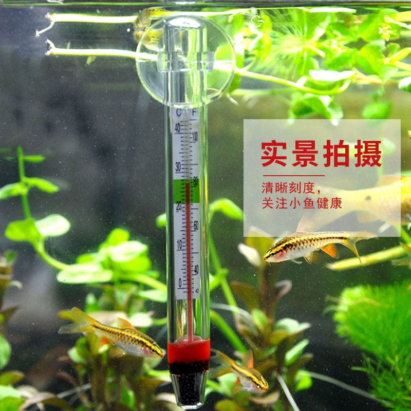 鱼缸水族箱测水温计温度计