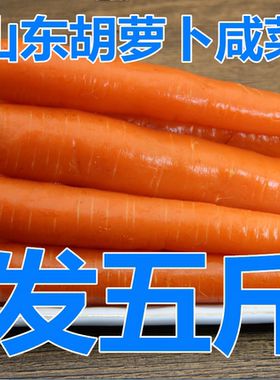 山东特产手工腌制泡萝卜凉面
