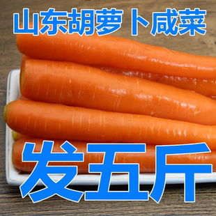 胡萝卜咸菜山东特产凉面老式 手工腌制泡红萝卜批发商用捞面2600克