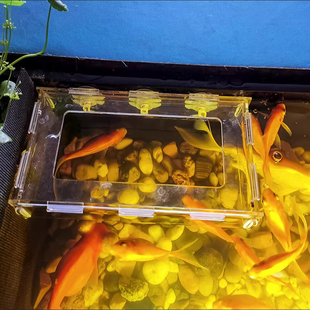 亚克力鱼缸定点防飘散鱼食鱼粮饲料喂食器喂食圈投食圈喂食管吸盘