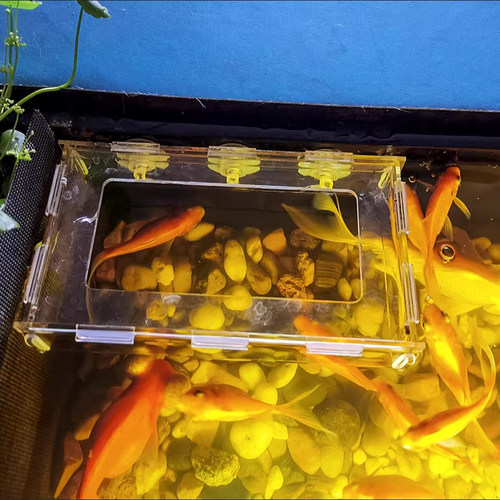 亚克力鱼缸定点防飘散喂食器