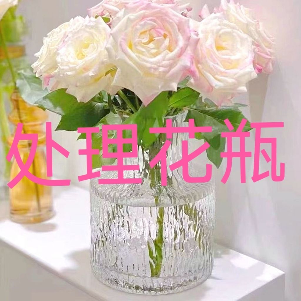 简约透明玻璃花瓶桌面插花水养干花鲜花花瓶ins风高颜值客厅摆件-封面