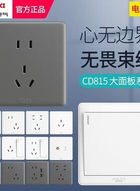 德力西暗装86面板插座二三插CD815一开五孔白色单控开关空调三孔