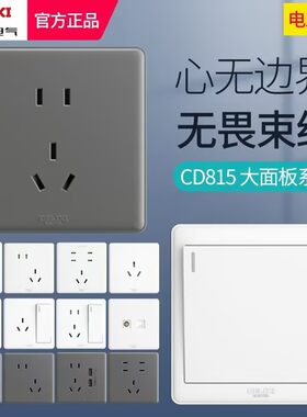 德力西暗装86面板插座二三插CD815一开五孔白色单控开关空调三孔