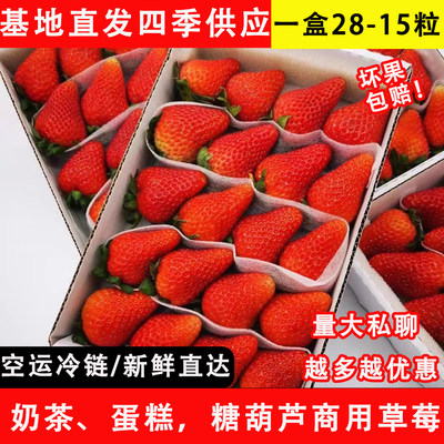 当天发出稳定供货新鲜商用草莓