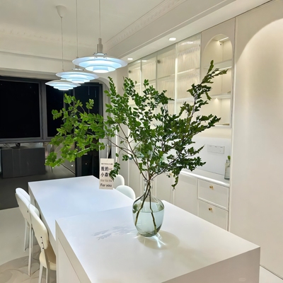 美男树木水培绿植物客厅桌面茶几吊钟盆栽室内马醉木鲜切枝条水养