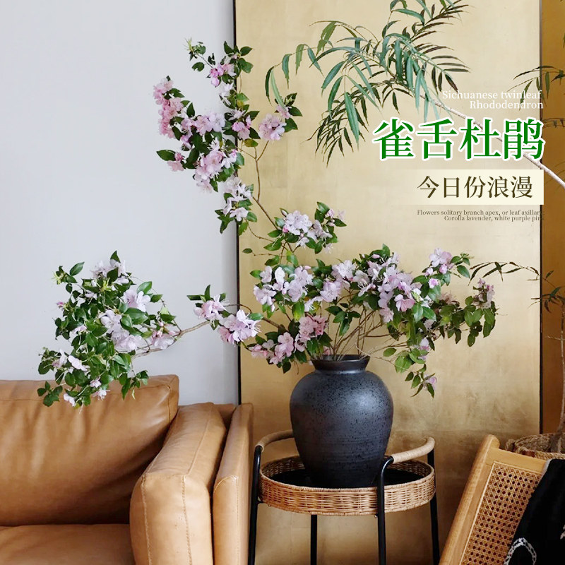 雀舌杜鹃鲜切枝条盆栽办公室内客厅水培植物吊钟树平替开 花卉水