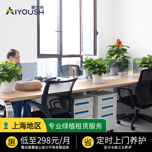 实惠放心的 植物租赁 基地直达 专业养护