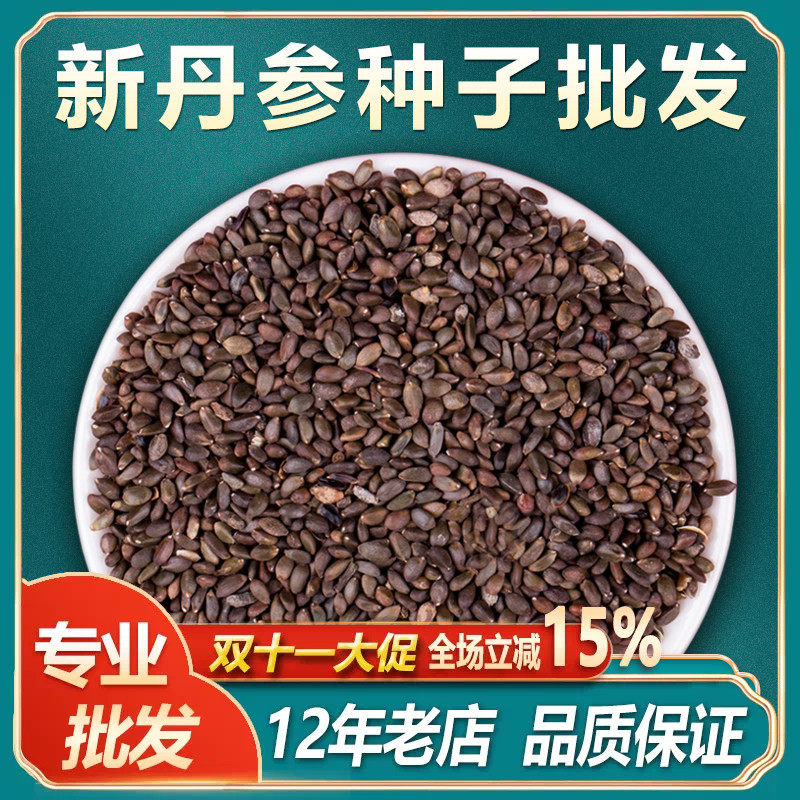 中药材丹参种籽野生特级参种子新鲜丹参种植苗草药当参黄芪新鲜苗