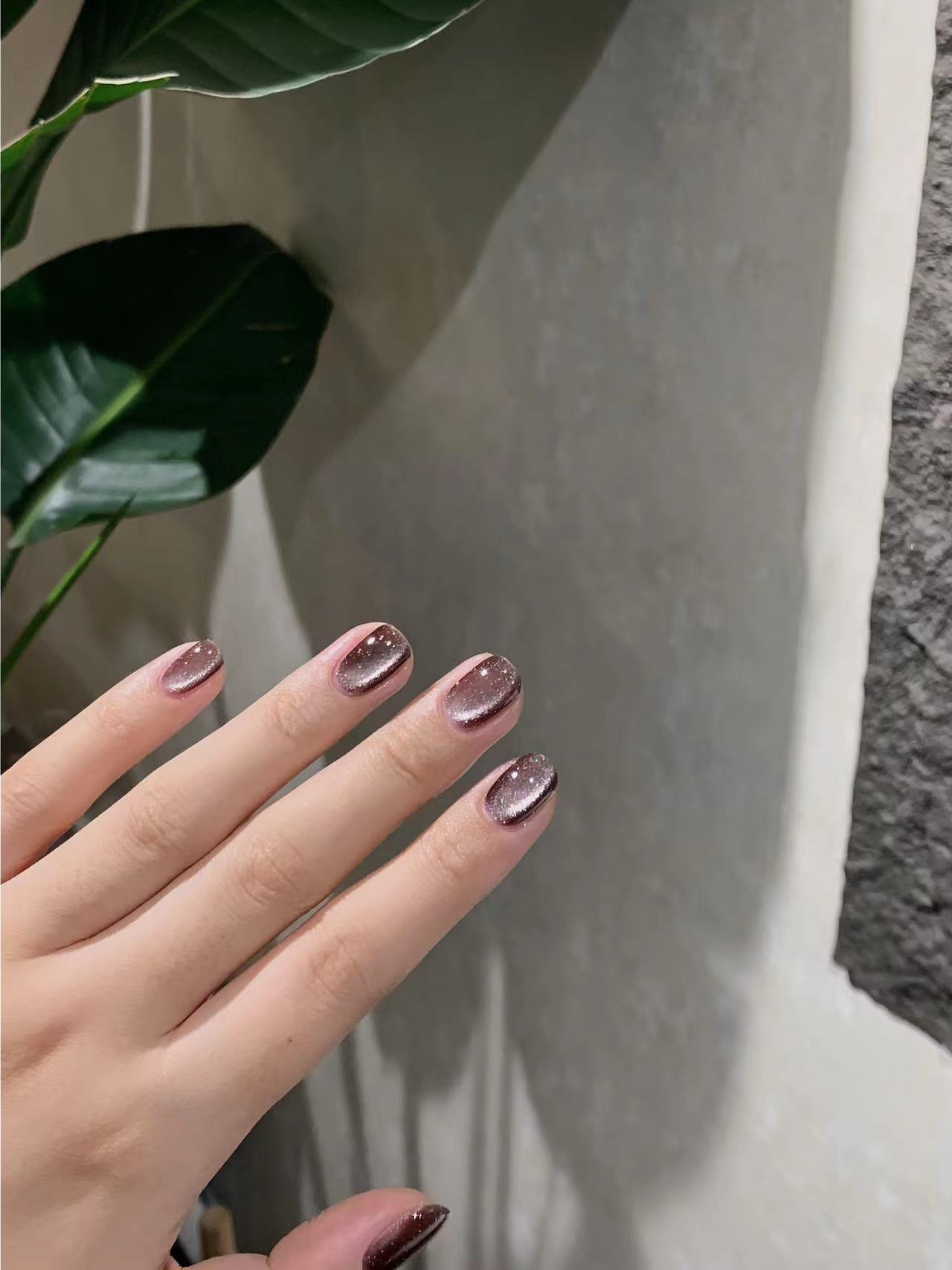GentlePink秋冬猫眼ST36