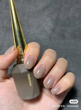 韩国Estemio2022 冬日大使 温柔万用打底色万用透灰色灰咖色 SY22