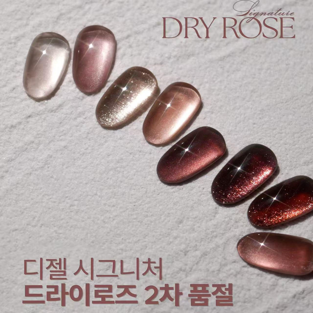 韩国DGEL 2025 秋季新色 DRY ROSE 干枯玫瑰 套系 高端甲油胶