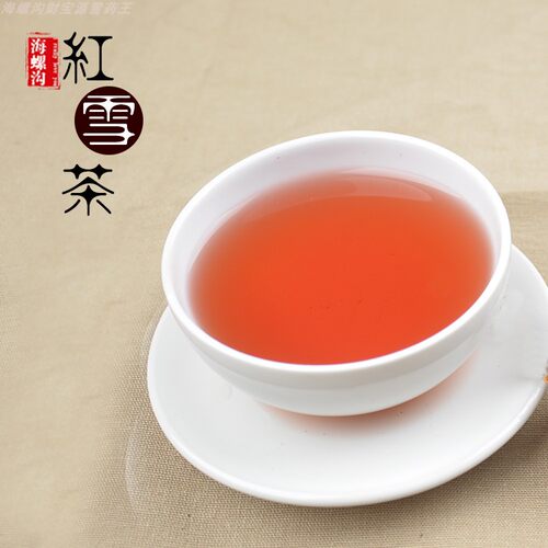 甘孜山货高原红雪茶自然生长茶