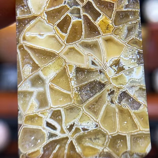 新款天然珊瑚玉吊坠项链女款锁骨链毛衣链挂件饰品礼物送男女友