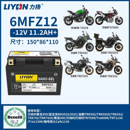 力扬贝纳利金鹏原厂12V12A干电瓶