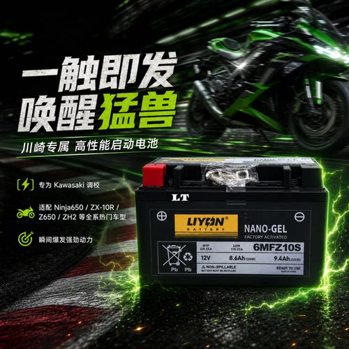 力扬大排量干电瓶川崎Ninja250