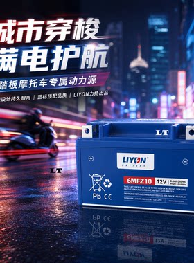 力扬电瓶适配豪爵125踏板摩托车