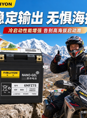 力扬踏板摩托车电瓶12V/8A6MFZ7S