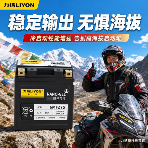 力扬踏板摩托车电瓶12V/8A6MFZ7S