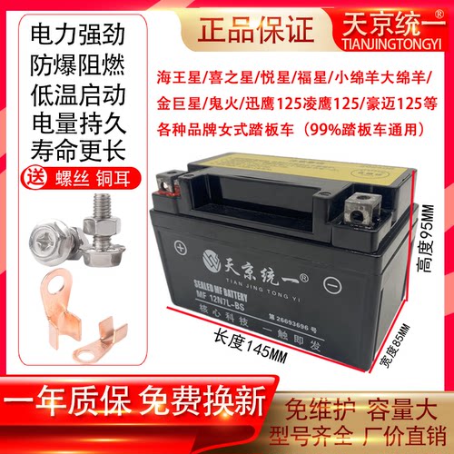 天京统一踏板摩托车免维护干电池