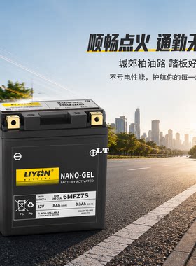 力扬金城草猛摩托电瓶6MFZ7S