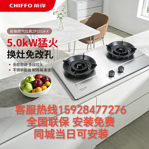 前锋ZP101A-B/ZP101A-X燃气灶5.0kW猛火家用嵌入式天然气熄火保护