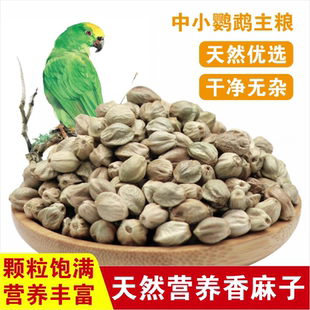 纸壳麻子大粒牡丹鹦鹉粮奖励零食油纸皮火麻籽鸽粮鸟食鸟粮
