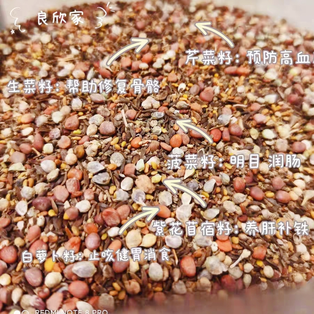 5种蔬菜种籽菜籽 补充微量元素虎皮玄凤牡丹等鸟鹦鹉鼠类兔类通用