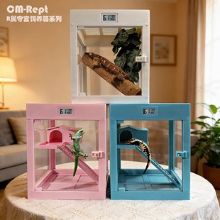 睫角守宫智能加热保温箱盖勾亚巨人R属守宫饲养保温箱爬宠造景缸
