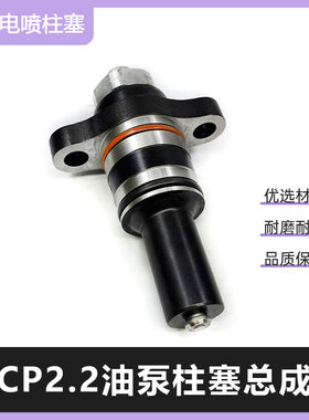 CP2.2油泵柱塞 博士世电喷313柱塞总成 高压油泵柱塞 F019D03313