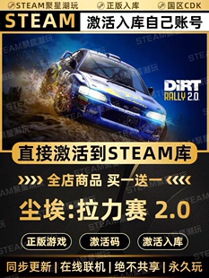 Steam正版【尘埃拉力赛2】国区CDKEY激活全DLC激活码CDK入库