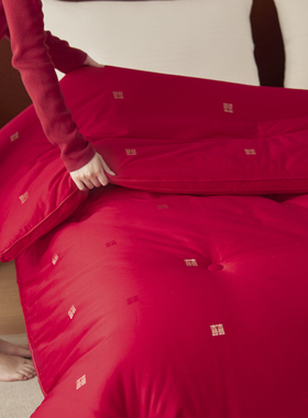 喜字刺绣红色婚庆被芯大豆纤维四季被抗菌结婚陪嫁春秋被子冬被芯