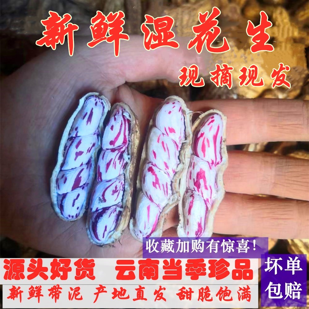 2026年现挖新鲜七彩湿花生带壳生牛奶花生 新鲜富硒黑花生湿花生,零食/坚果/特产,花生,淘宝优惠券,粉丝福利购,淘宝优惠卷
