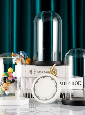 手工情人节防尘罩小夜灯永生花