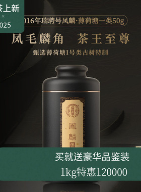 【新品】瑞聘号 2016凤麟薄荷塘一类云南头春古树晒青毛茶生茶50g