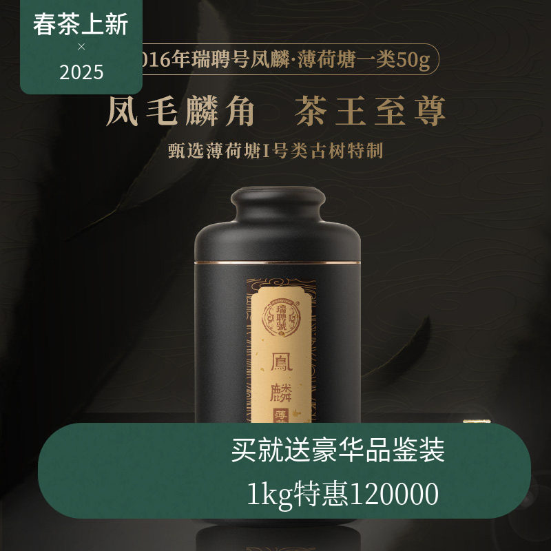 【新品】瑞聘号 2016凤麟薄荷塘一类云南头春古树晒青毛茶生茶50g