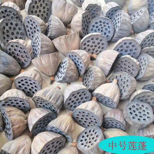 家居装饰干花微山湖莲房