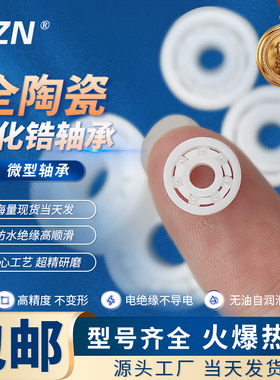 微型氧化锆陶瓷轴承603 604 605 606 607 608 609 ZRO2耐腐蚀绝缘