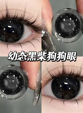 大美目黑美瞳日抛30片黑色自然大直径一次性隐形眼镜WF官方正品TN