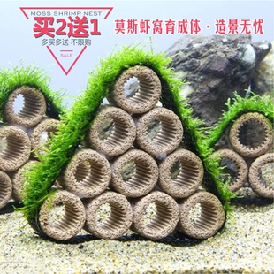 创意莫斯虾窝多孔陶虾屋鱼缸造景装饰套餐小型鱼类水草后景阴性草