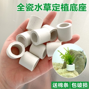 全瓷水草定植底座大小号组合水培植物种植固定沉底专用环促生根