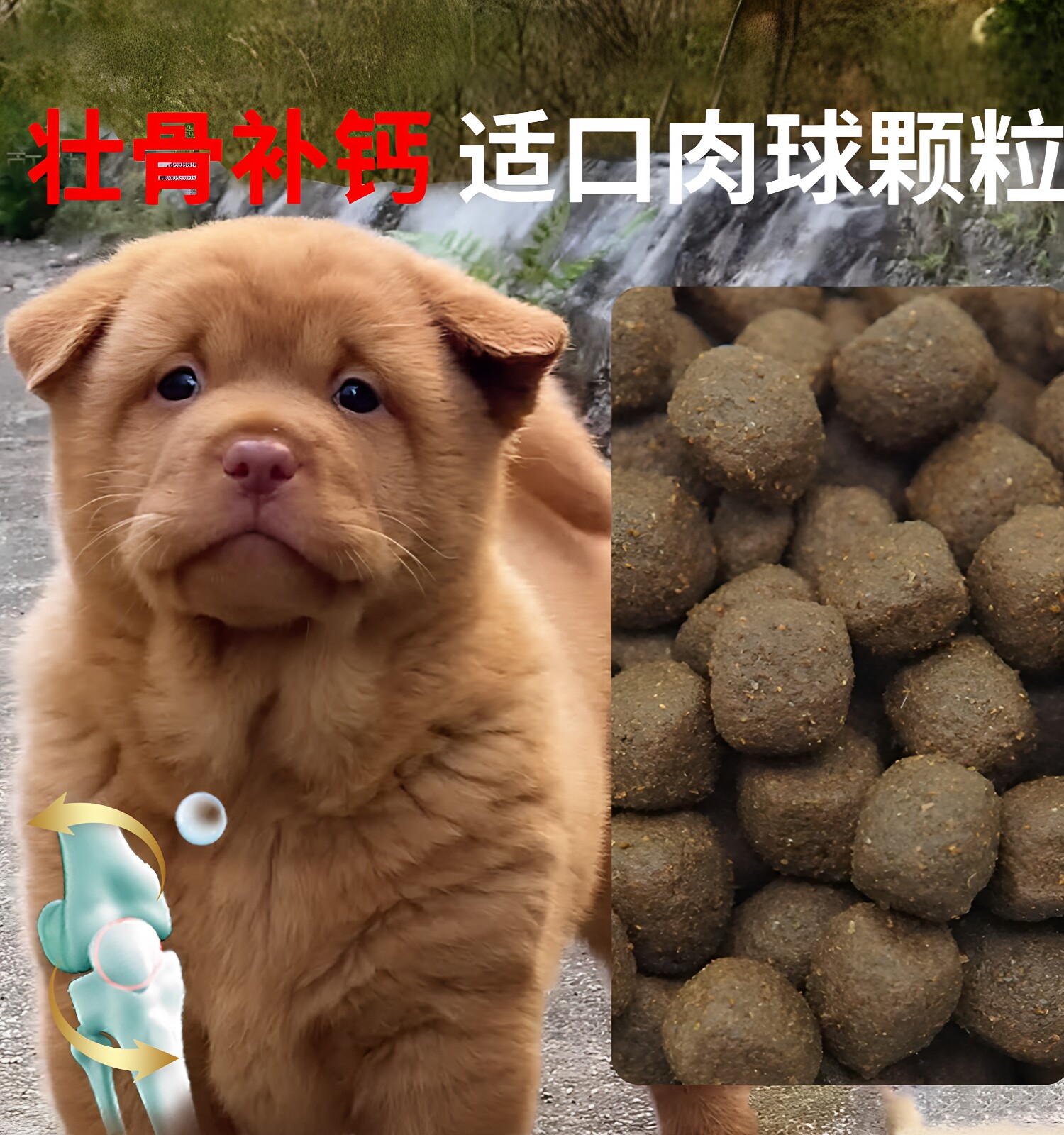 狗粮五红五黑犬专用狗粮肉球粮图片