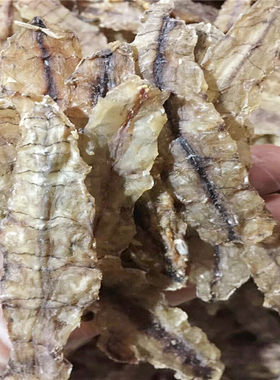 潮汕特产惠来新鲜虾蛄肉干250g濑尿虾干皮皮虾琵琶虾肉富贵虾肉