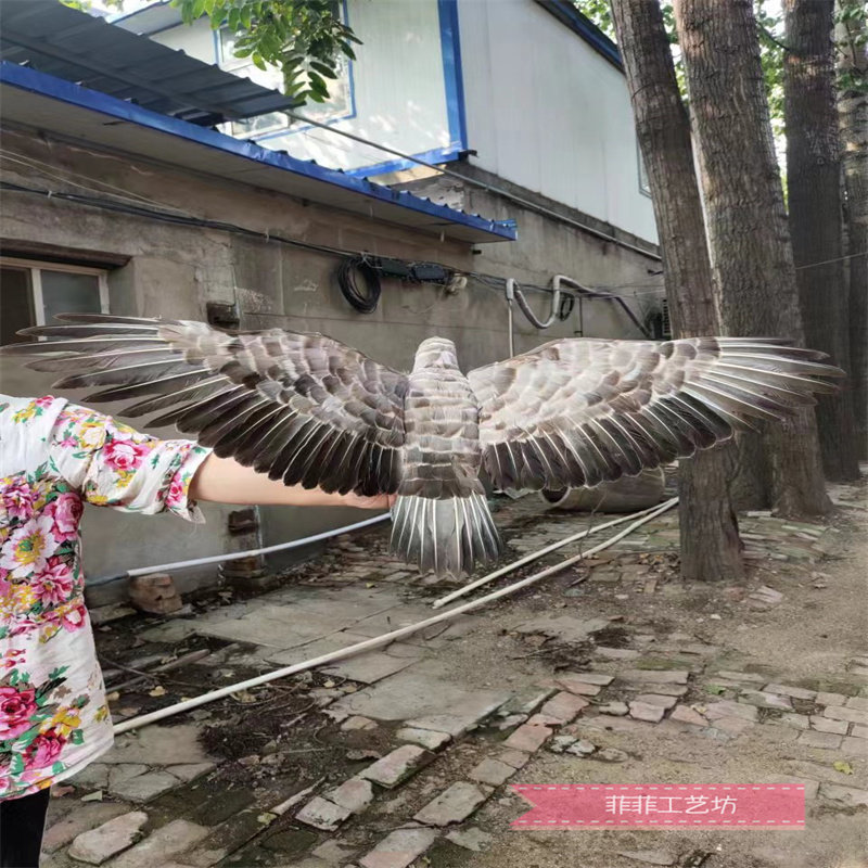 仿真羽毛老鹰影视摄影道具园林创意鸟笼装饰写真拍摄道具驱鸟老鹰