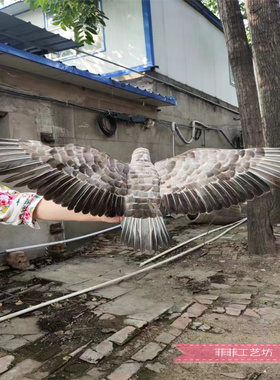 菲菲羽毛祝福园林庭院创意老鹰