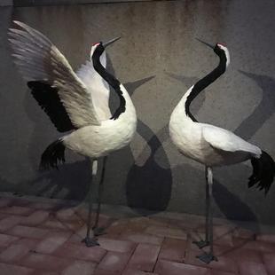 仿真丹顶鹤园林景观鸟原创影视拍摄道具室内工艺品花园装饰羽毛